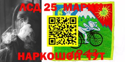 спиды Бийск