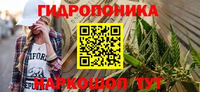 спиды Бийск