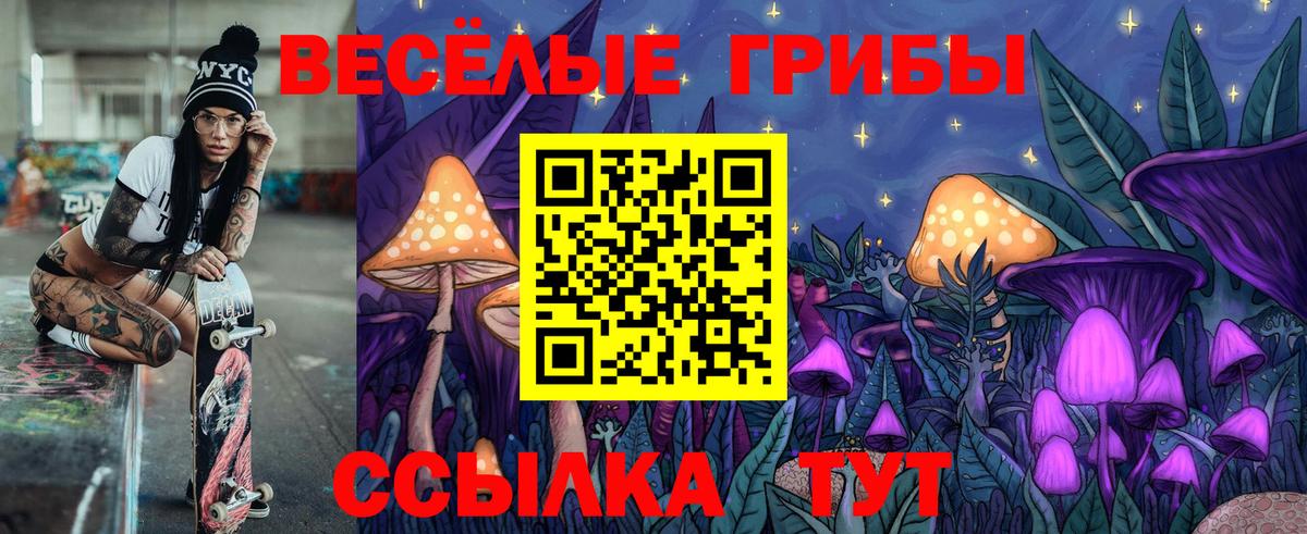 Псилоцибиновые грибы GOLDEN TEACHER Выборг