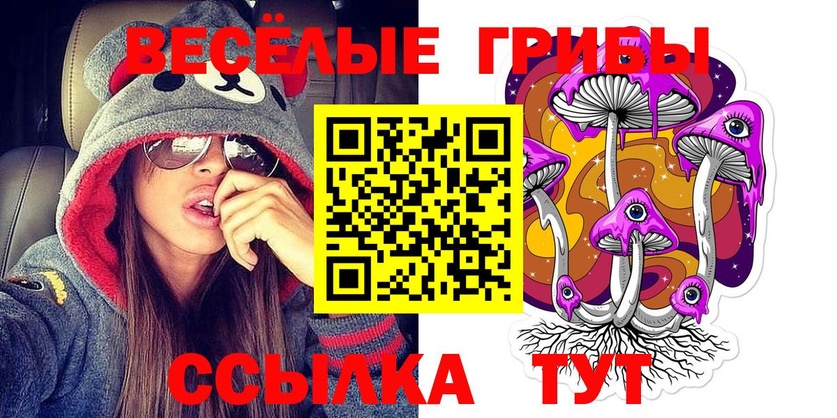 купить   Вход с VPN  Выборг  Галлюциногенные грибы мицелий 